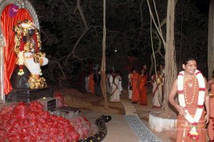 20130101IMG 8890 CMP WM0100.jpg