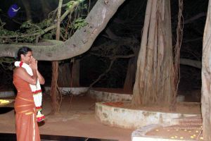 20130101IMG 8897 CMP WM0100.jpg