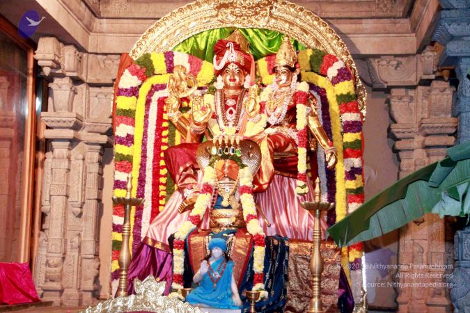 20130101IMG 8908 CMP WM0100.jpg