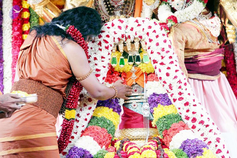 File:20130101IMG 8972 CMP WM0100.jpg