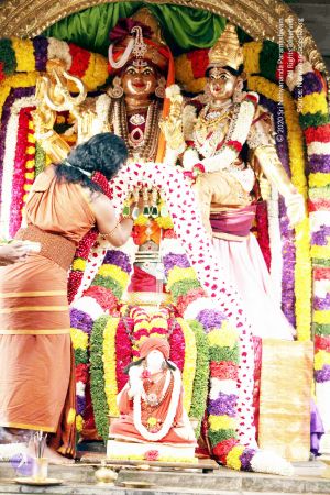 20130101IMG 8977 CMP WM0100.jpg