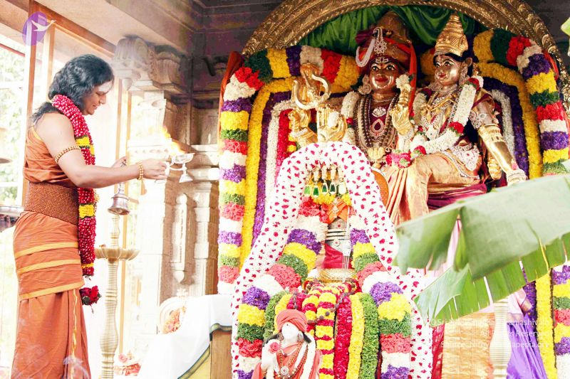 File:20130101IMG 8989 CMP WM0100.jpg