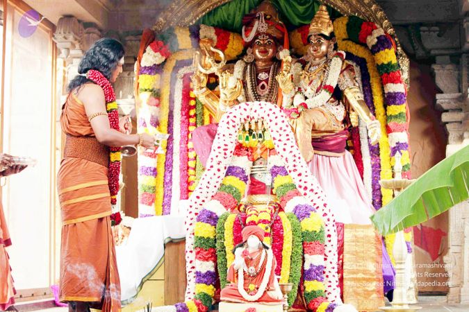 20130101IMG 8990 CMP WM0100.jpg