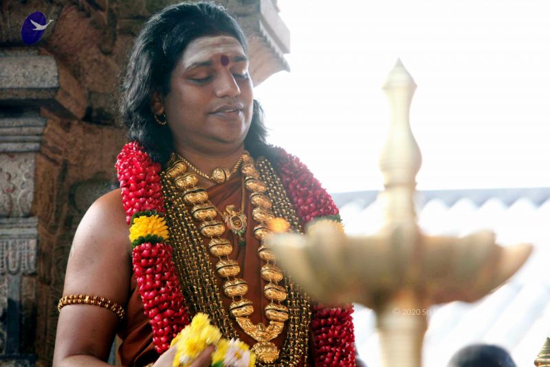 File:20130101IMG 8992 CMP WM0100.jpg