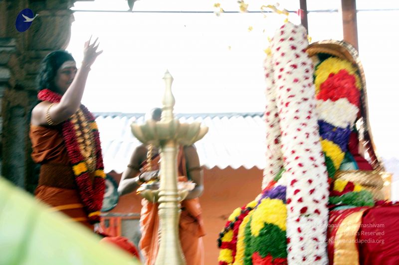 File:20130101IMG 8993 CMP WM0100.jpg