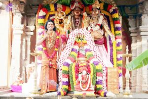 20130101IMG 8995 CMP WM0100.jpg