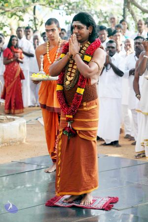 20130101IMG 9006 CMP WM0100.jpg