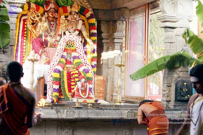 20130101IMG 9017 CMP WM0100.jpg