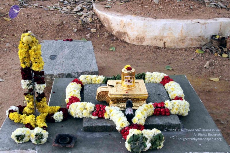 File:20130101IMG 9964 CMP WM0010011.jpg