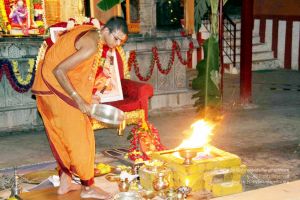 20130101IMG 9979 CMP WM0010011.jpg