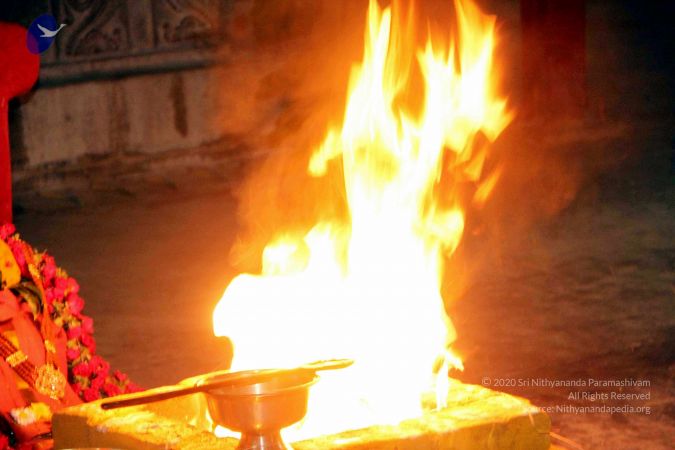 20130101IMG 9980 CMP WM0010011.jpg