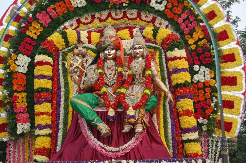 File:20130106 Photo 1011 1uuZ0rs0iTH8dFfe Ntw0qRZWWuEIOsH7.JPG