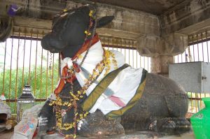 20130106 Photo 1040 1EKWAR2RX-ZbTR0OrivoqXoTRhSMRTehp.JPG