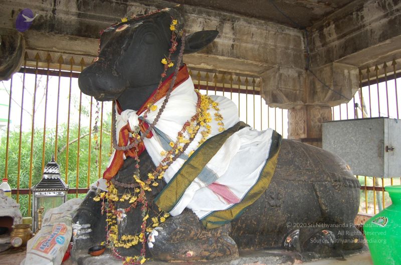 File:20130106 Photo 1040 1EKWAR2RX-ZbTR0OrivoqXoTRhSMRTehp.JPG