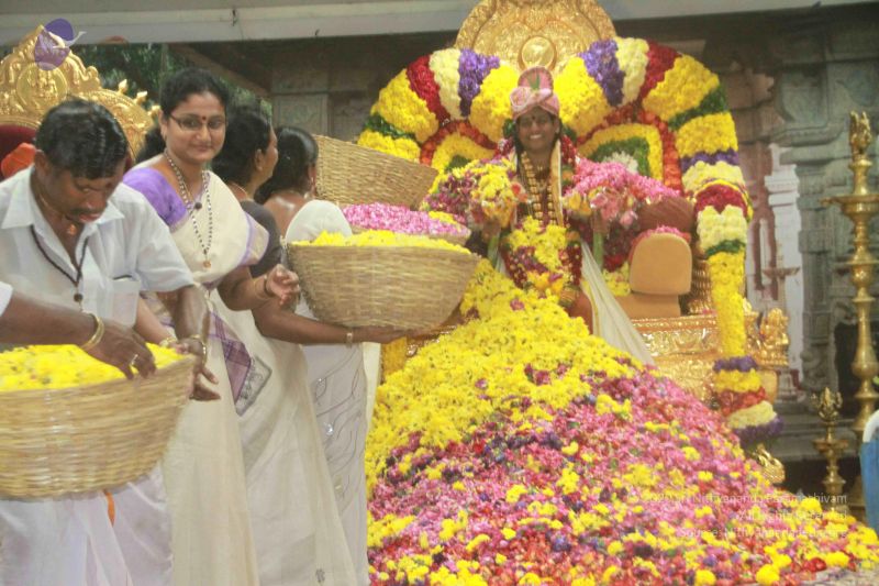 File:20130106 Photo 1104 1ePs8oDtuorO9FMUhDPbu9-blKJQvrtrJ.JPG