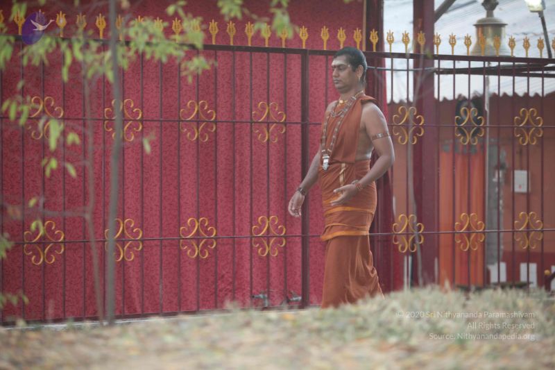 File:20130112 Photo 1014 1V67S0JibmG7ie6I7E69rND738lT2SAI0.JPG