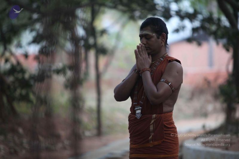 File:20130112 Photo 1023 1QHv-DawjmnHo cr7cvCeTMRT V2Wz qt.JPG