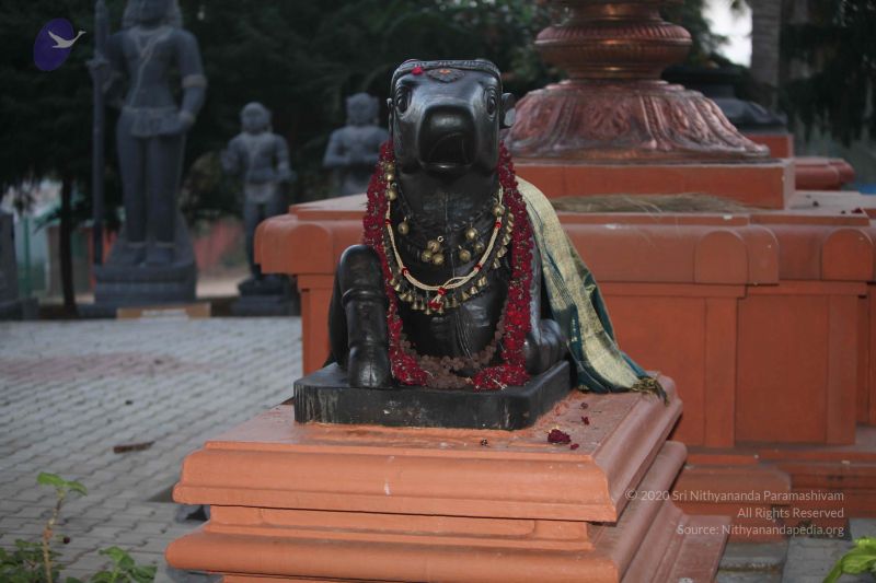 File:20130113 Photo 1000 1yiz Yi fkrQfyTSkxFHXU4q0F6yPhksR.JPG