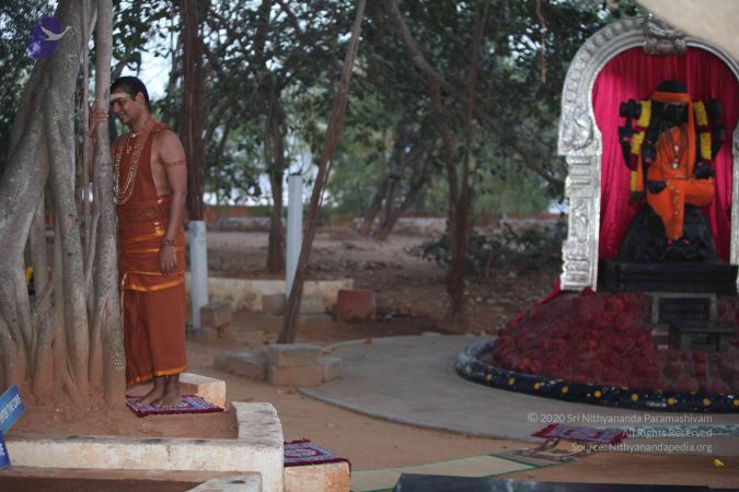 20130113 Photo 1018 1uVwlaicwGR520vf3vUqgeerIaAM7 xfg.JPG