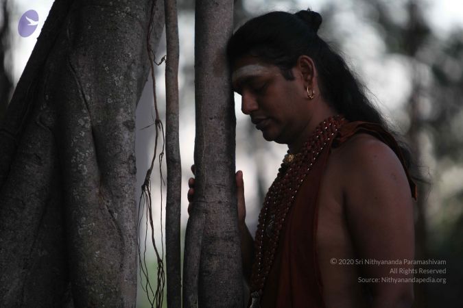 20130115 Photo 1194 1KrraE4RmmwSSg7x1vgZhNZg54u2HYaTE.JPG