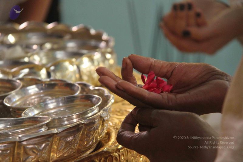 File:20130115 Photo 1222 1mC eImGApev1CEwA-I5qsbU5lRpo0tgm.JPG