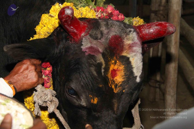 File:20130115 Photo 1251 1MNM0VE9SNWEwPaY8q8DH-qY osJg3KzE.JPG