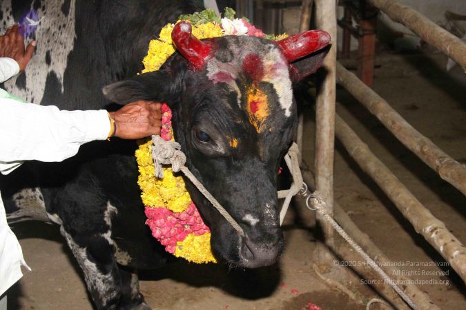 20130115 Photo 1252 1mkLNfERTvatS68vFiuwe6vJ r5RJEEb5.JPG