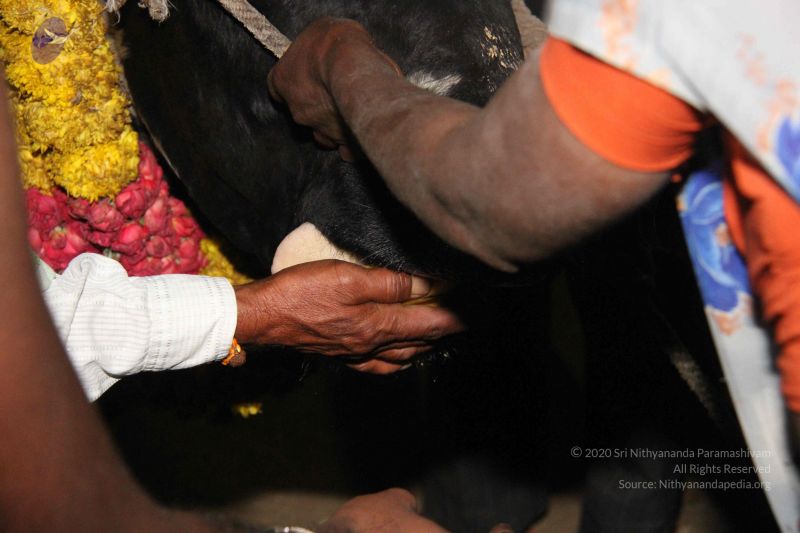 File:20130115 Photo 1253 1xTtIAmW-bhFftctmvkIAO8pxJtTD7GxW.JPG