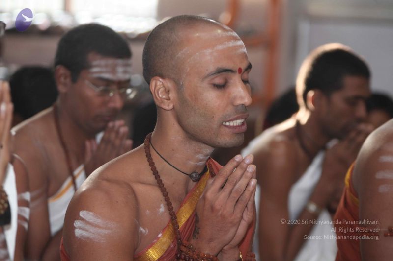 File:20130116 Photo 1055 1hOMkezUVOMsQ5EAuQlV8HrMcfFgIlJA2.JPG