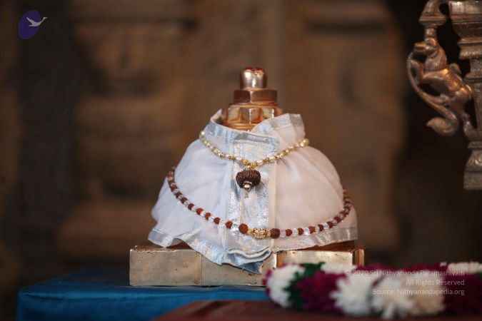 20130117 Photo 1019 1sJVFygkd9lUBrbtj37VFDvJiLkmJvHBb.JPG