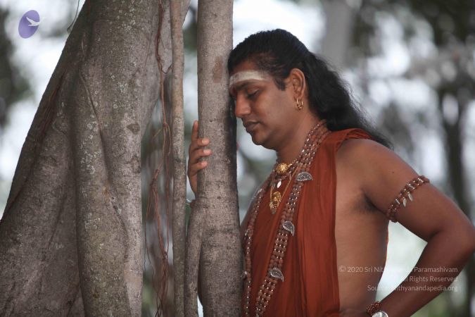 20130117 Photo 1038 1dWprfRUwhF-hR H2lHlYOkL4klYXF s0.JPG