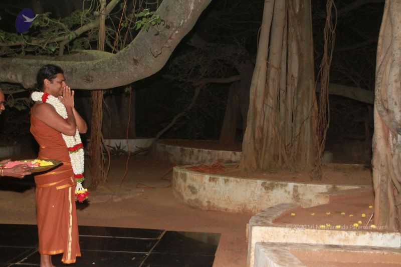 File:2013011s Photo 1031 1H-ASZwoaQucENnjnCfwVLsZZzGzqw1AI.JPG