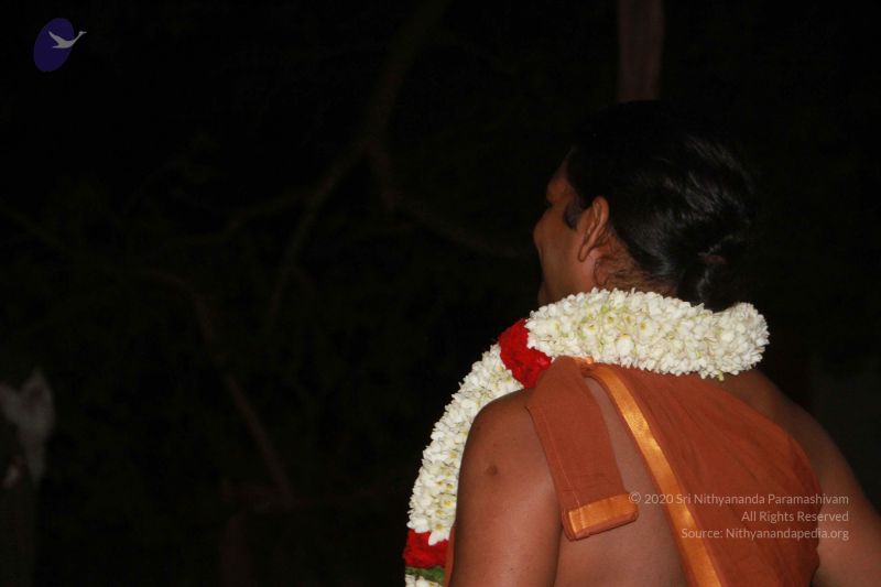 File:2013011s Photo 1032 1s-ucTN8xm27tGBRGQp RQDP-XFB7qYYi.JPG