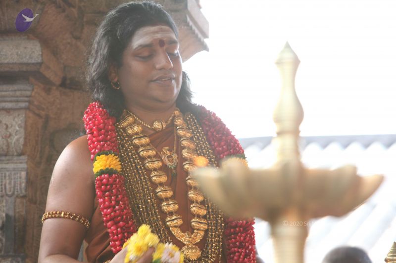 File:2013011s Photo 1097 1Hq2yEeQDsEWUL1fAZU0Z8FW69esxOPlr.JPG