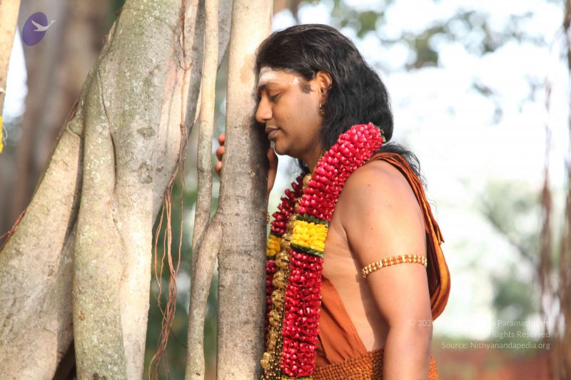 File:2013011s Photo 1104 1kYG7svxWK MCzXdIPduqKJ8UX9D04-xV.JPG