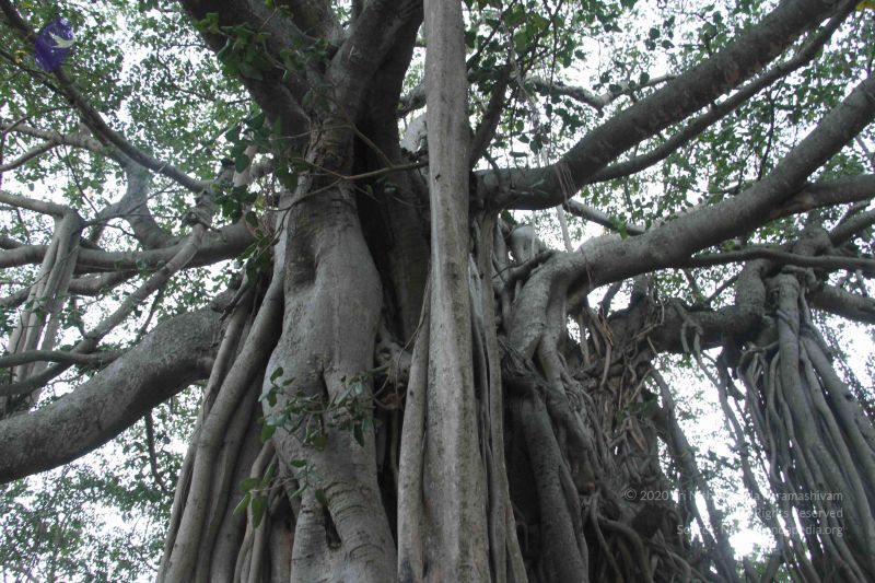 File:2013011s Photo 1393 1WO9evtaMaLHWoVSVYb-LShjrmpZZsOIt.JPG