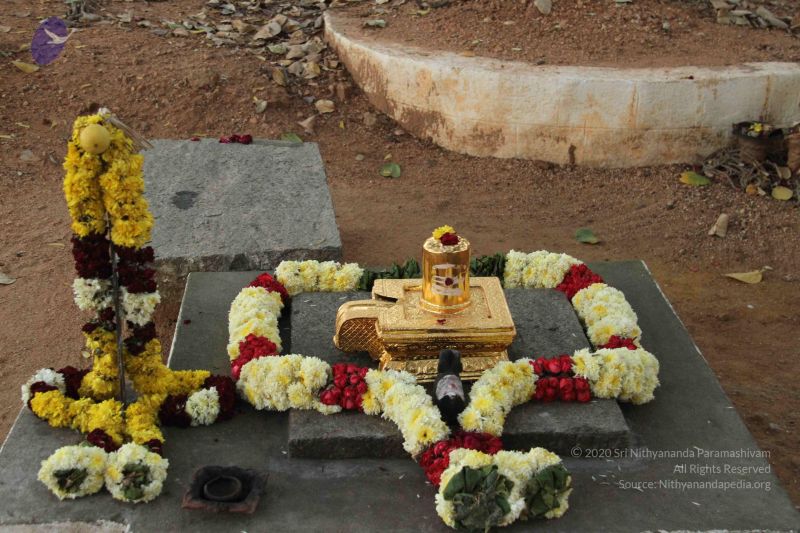 File:2013011s Photo 1395 1GsUMQyal1mpGDllQ18zEPEiXGTR1Cvr8.JPG