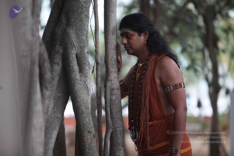 File:20130121 Photo 1014 1OIAU L47BnlLvowhDJXR-xlZxE9n9jV7.JPG