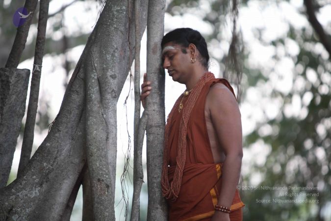 20130123 Photo 1022 1QtoDaUUL2BVg1P7yLiaA3eR1-JLSSLrp.JPG