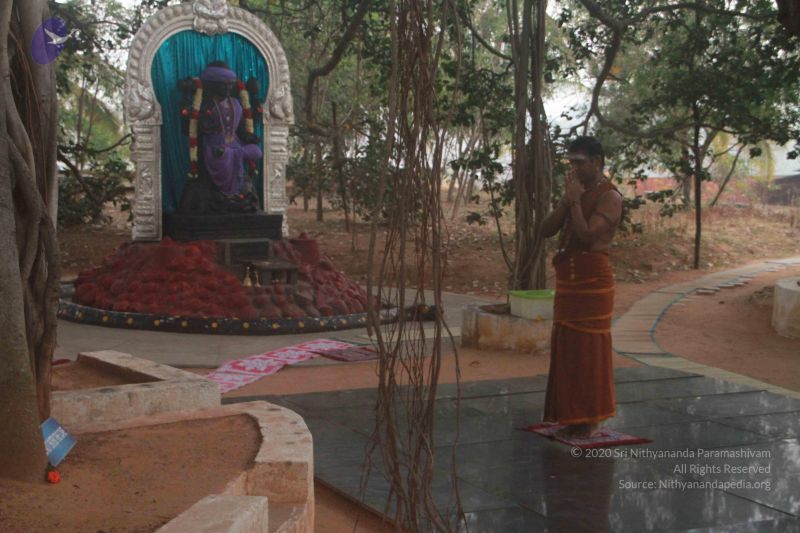 File:20130124 Photo 1005 1E37BEfyJndDBwcNeaBZD5rNmF3BUFuBb.JPG