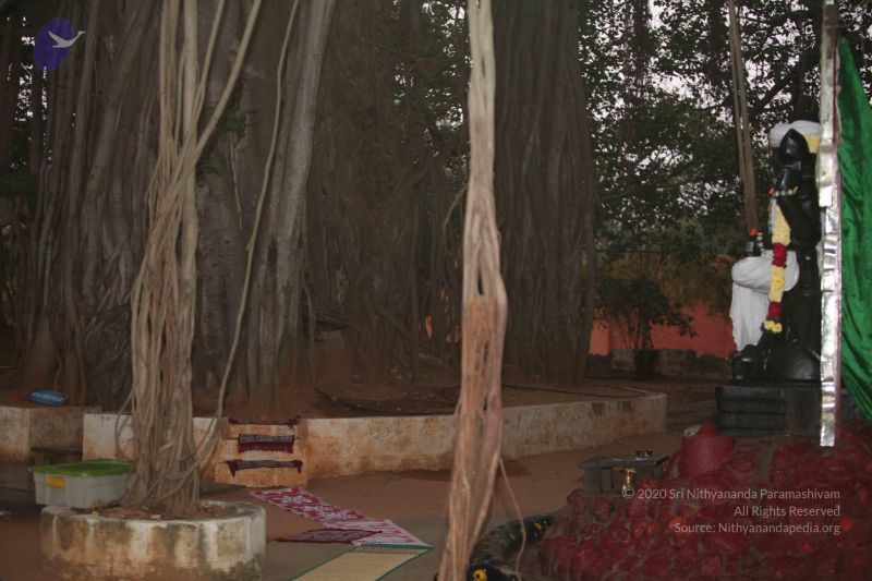 File:20130125 Photo 1007 1b3172rqrgbTBqOUp9XElc RcYa7t7HoX.JPG