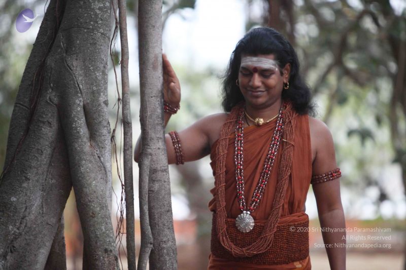 File:20130125 Photo 1038 1rBossgJhTYHwdzjO8IT9Ae3Qt-ZBgDTe.JPG