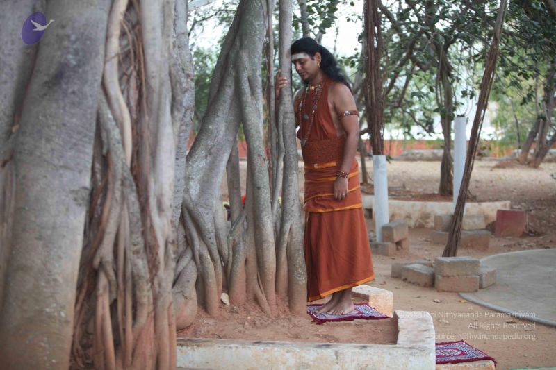 File:20130128 Photo 1041 1iEvi4w-AR miB3L B1gn J4zBksEK8Hi.JPG