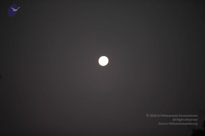 File:20130129 Photo 1014 1PCmMLzH0bMvR-VHLZkL7wA0maz2wM7Ia.JPG