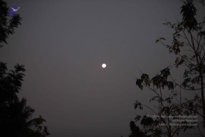 20130129 Photo 1015 1ulLtcR-L3FgaAitOpl28myzoW29baUsj.JPG