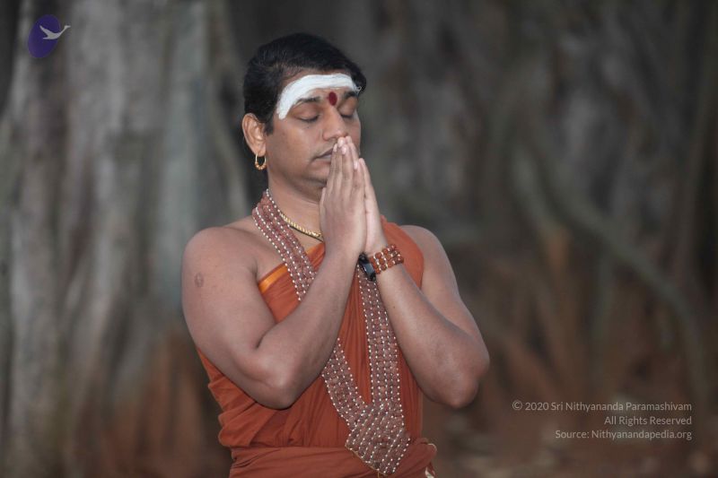 File:20130129 Photo 1026 1SfBRNnlCpNBaenQMoBak gqs 8e1rnnC.JPG