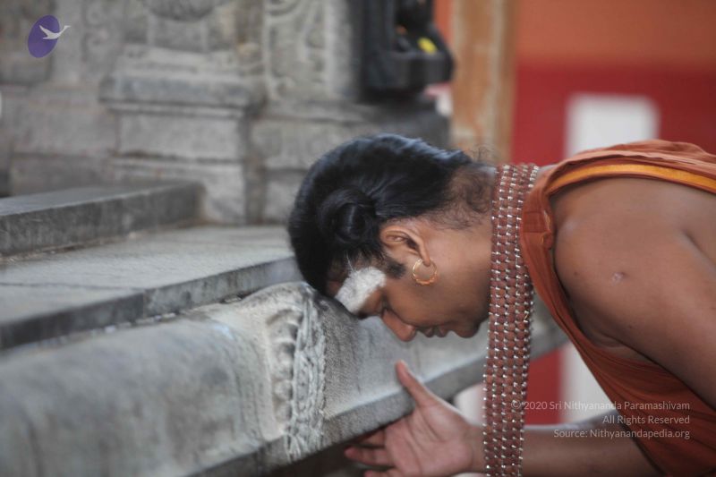 File:20130129 Photo 1031 1fW4bpYhLF1nts444WnWAScKpqT14qA6n.JPG