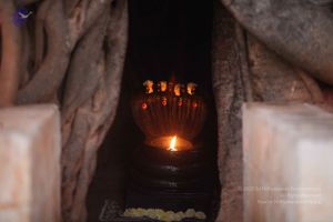 20130202 Photo 1004 10arM-h8gfeyAiTfn zkeiPYjaKS48zff.JPG