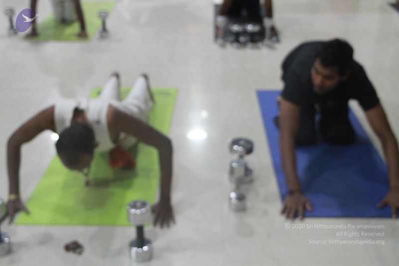 File:20130204 Photo 1006 1IUPkLGULOd~Cyt1HL6A3jgt0jMxOSHk.JPG