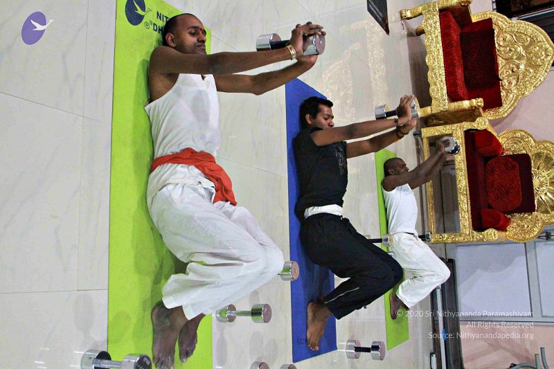 File:20130204 Photo 1016 1uWq1uiMrSjN2ccd-T7doGn58OJSF5OOk.JPG